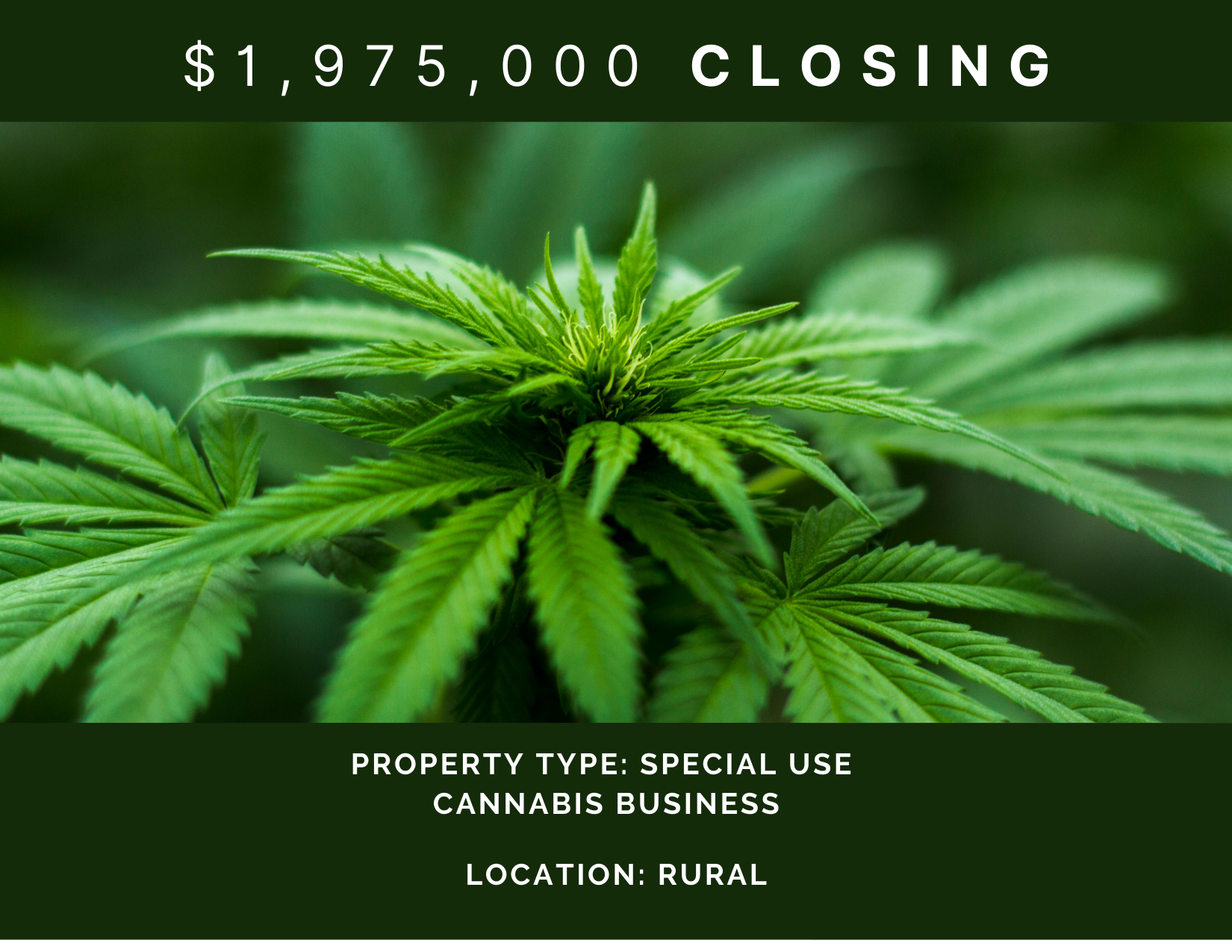 Cannabis/Rodeo Loan in Oklahoma1